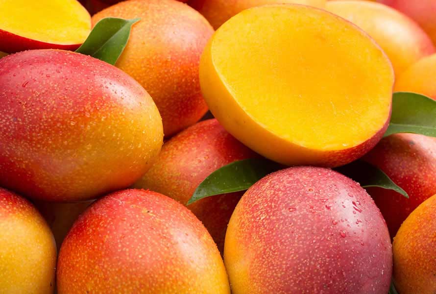 MANGO